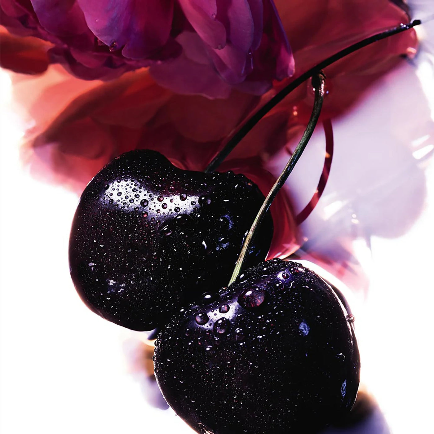 LA PETITE ROBE NOIRE Eau de Parfum – Guerlain