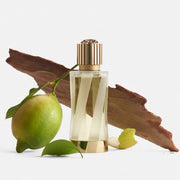 CÉDRAT DE DIAMANTE - Eau de Parfum 100 ml – Atelier Versace - Extrait Alchimique